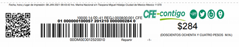 Talón Caja CFE